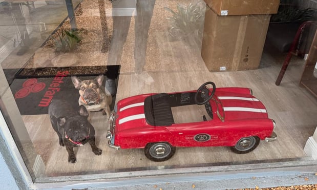 Images David Vargas - State Farm Insurance Agent