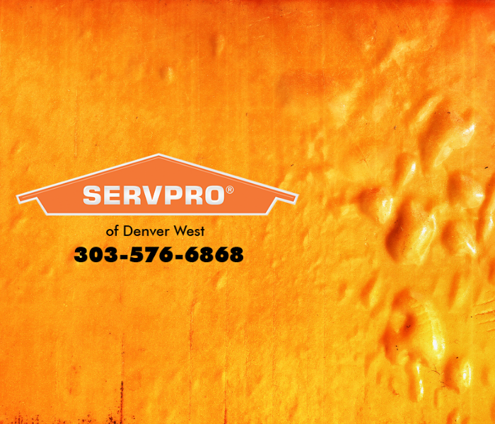 As a trusted leader in water restoration services, SERVPROÂ® of Denver West knows that the longer water damage is left untreated, the higher the costs of the repairs can be.