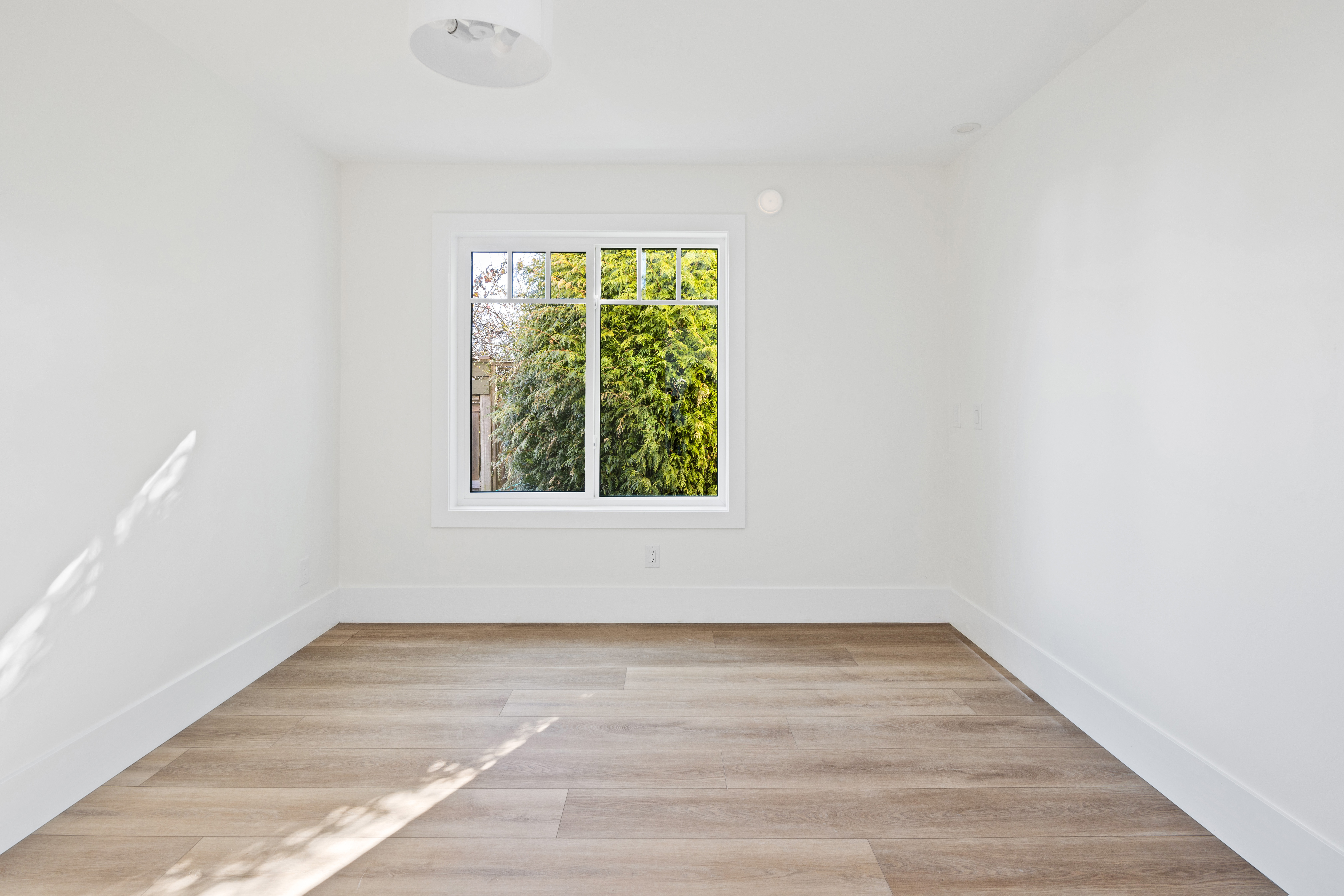 Images Do My Floors