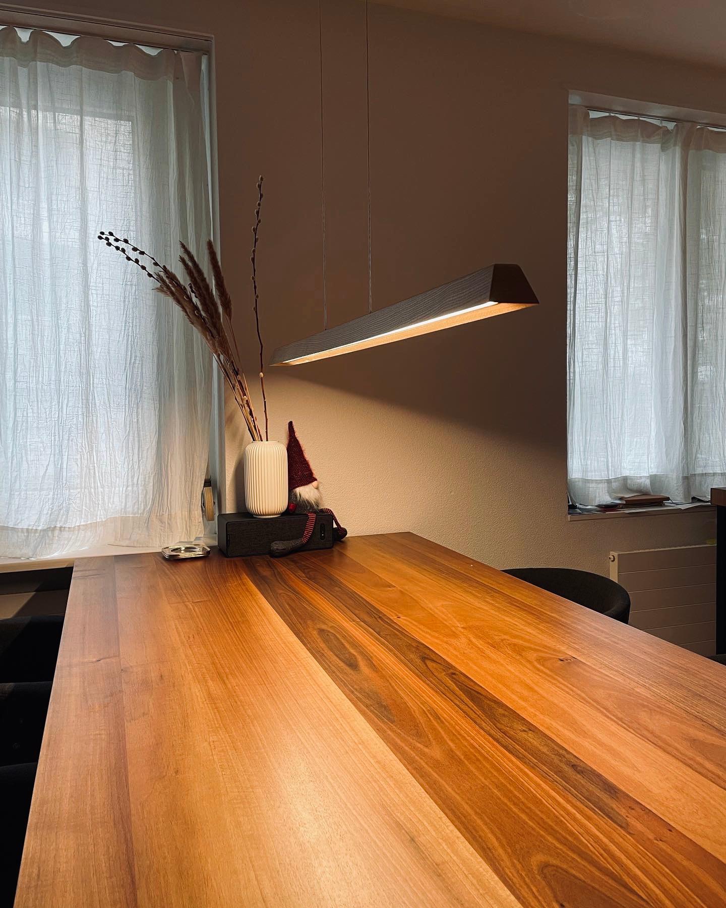 Bilder Holzwespi AG