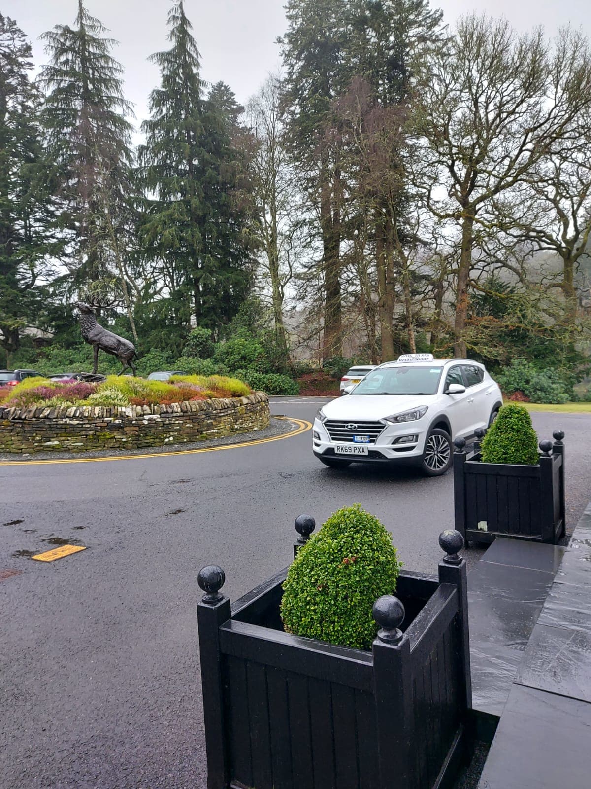 Images WRS Taxis