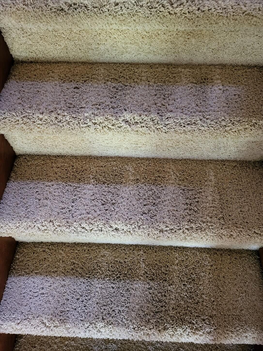 stairs Carpet Cleaning Fort Collins CO