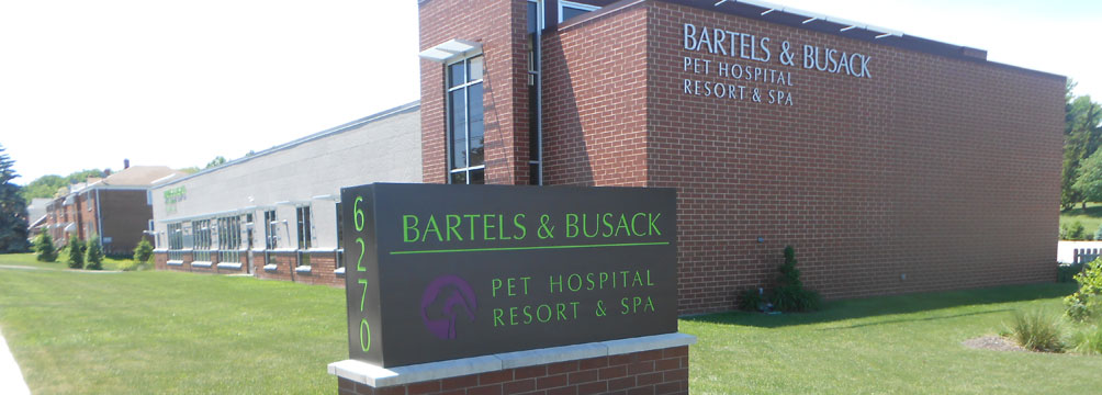 Bartels Busack Pet Hospital & Spa