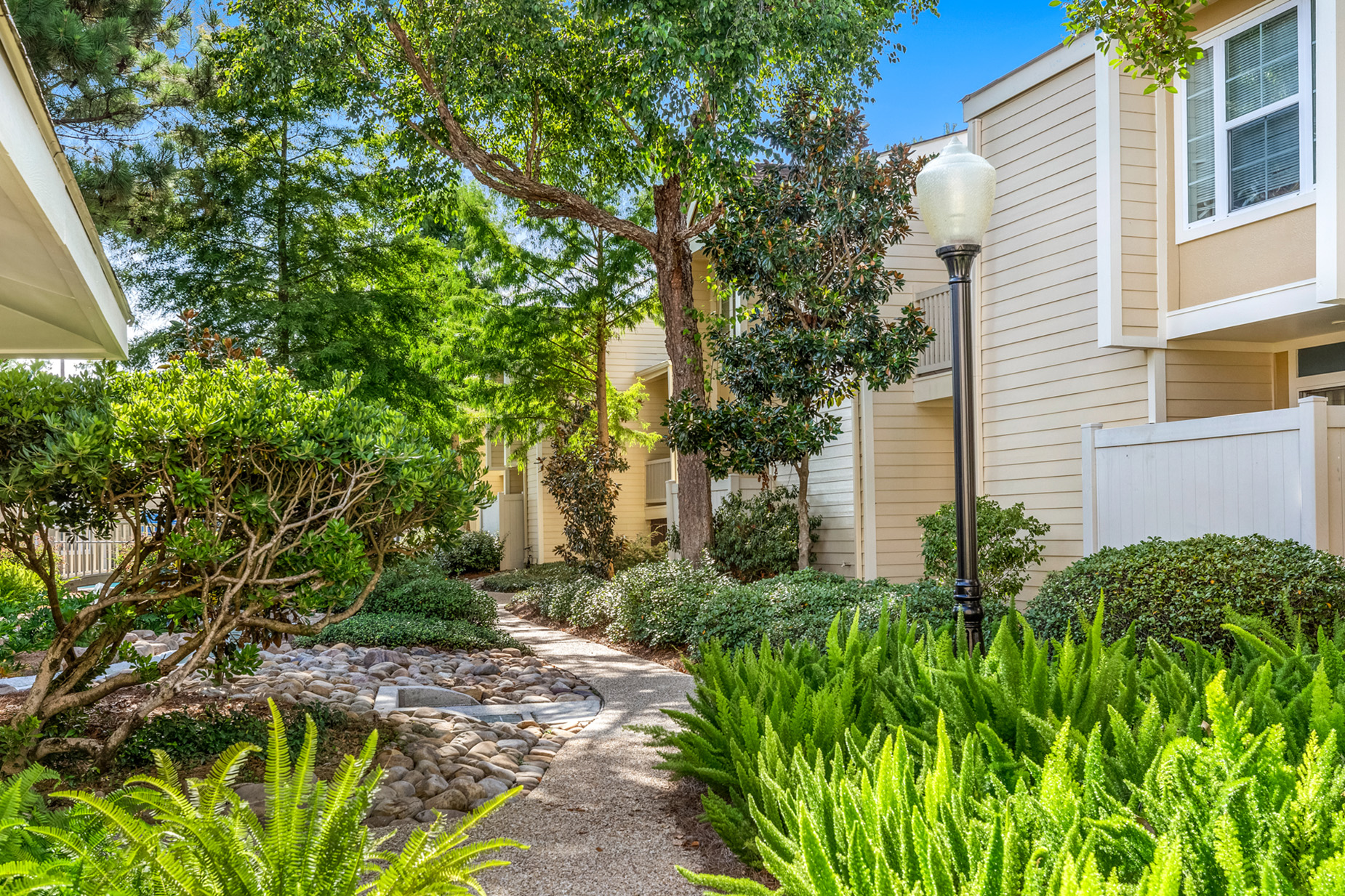 Lush Landscaping
