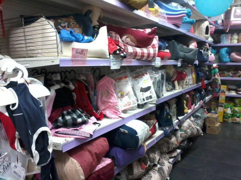 Images Vanity Dog Napoli