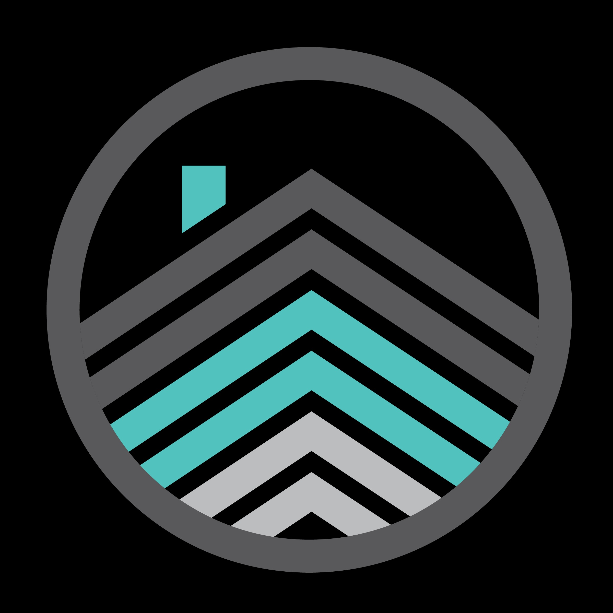 company logo