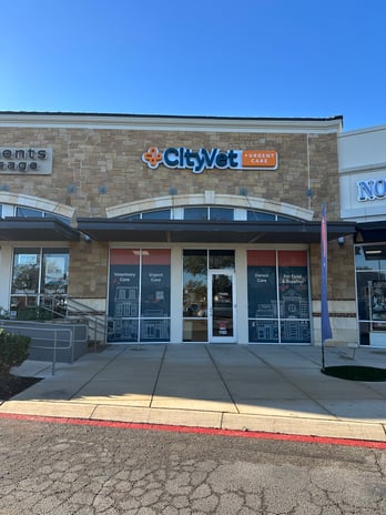 Images CityVet | Castle Hills Veterinary Clinic & Urgent Care