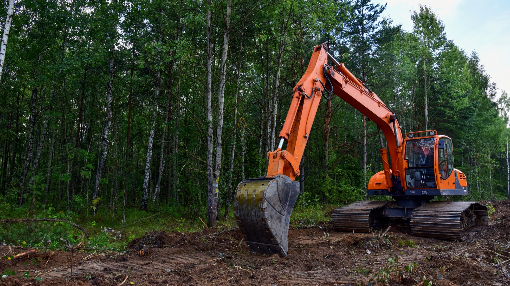 Diversified Lawn And Property Care, LLC Image