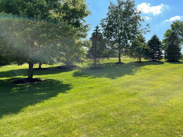 Images J & C Landscaping LLC