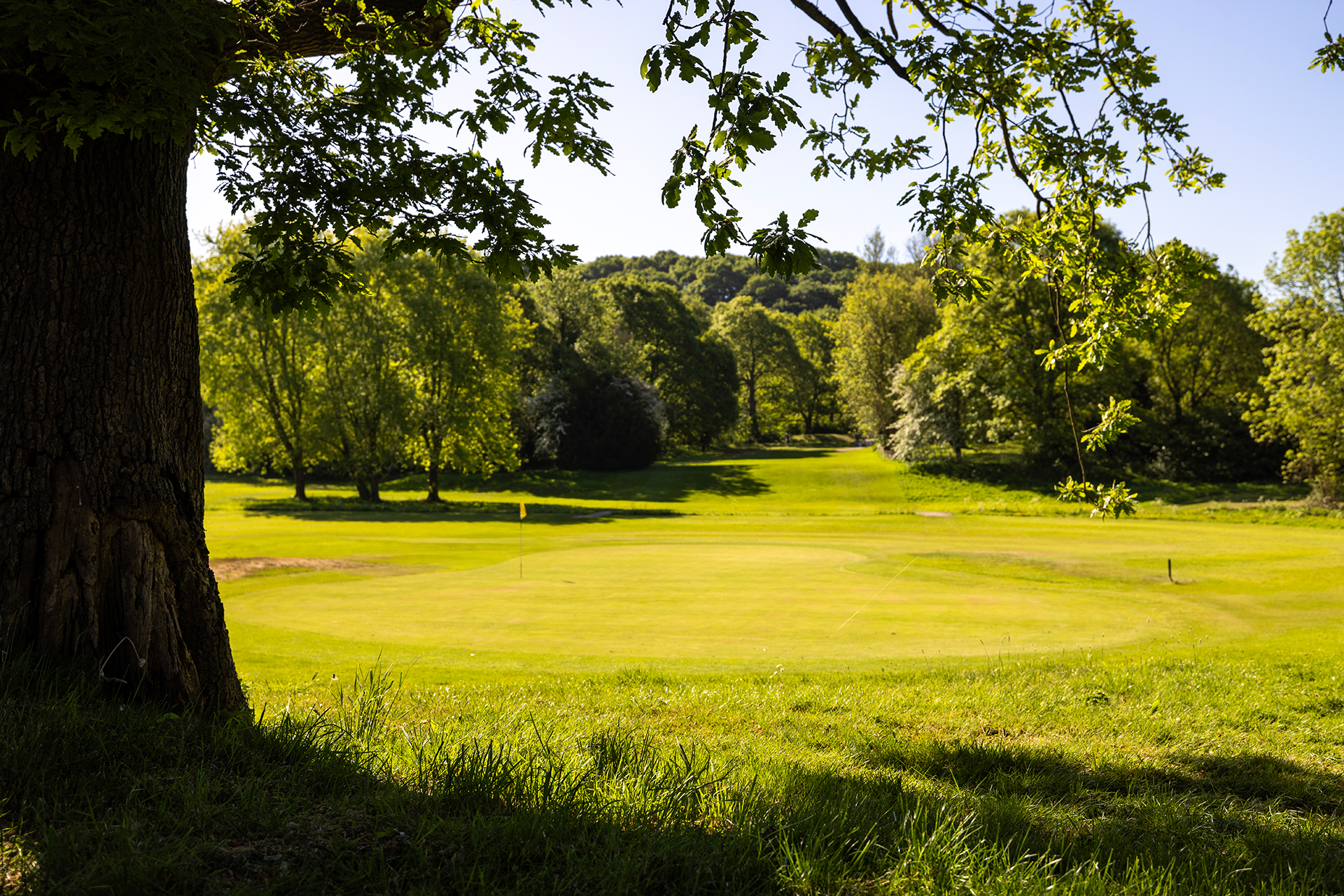 Beauchief Golf Course in Sheffield is a scenic parkland course set among mature trees and rolling fairways, offering a peaceful and enjoyable round for golfers of all levels.