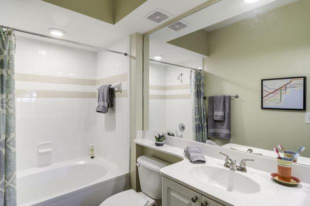 Images Evergreen Terrace