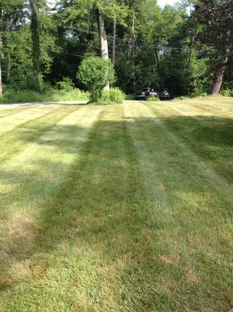 Images A Cut Above Landscaping
