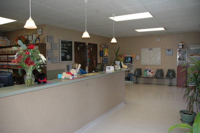 Images VCA Greenback Animal Hospital