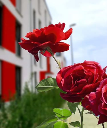 Bilder Em Wohnbau GmbH