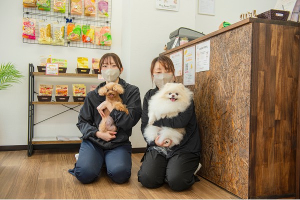 Images DogSalon Rwan
