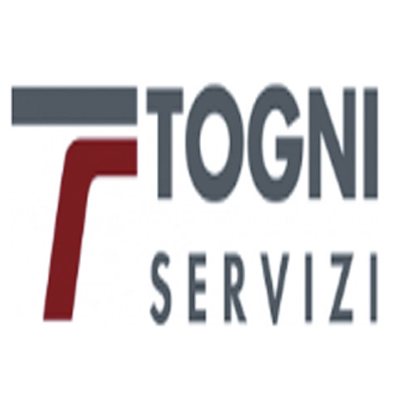 Togni Bus Logo