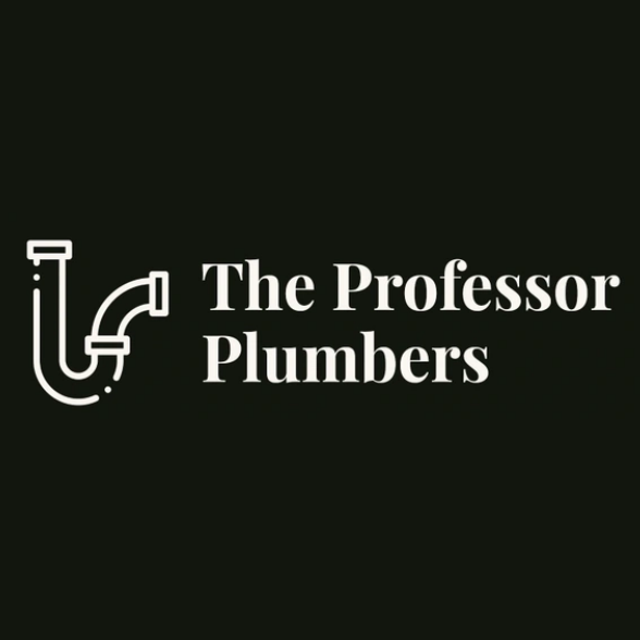 The Professor Plumbers, LLC