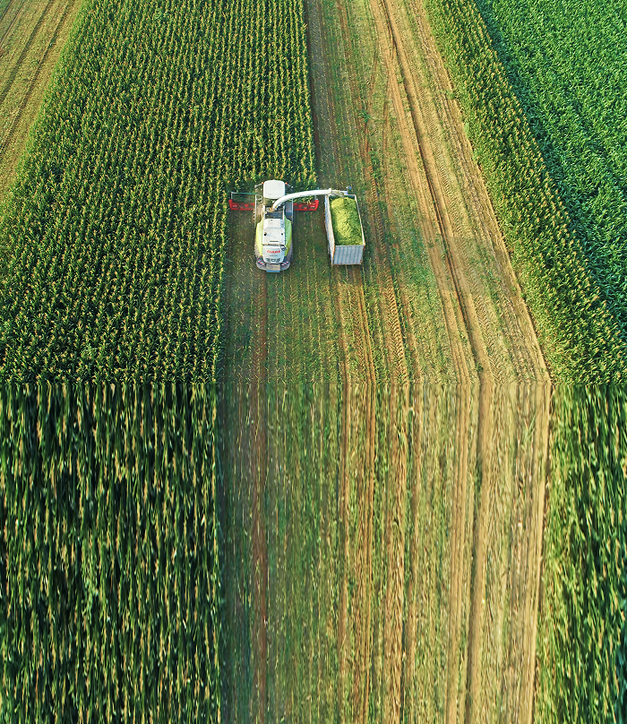 Top-down, aerial view of a farmer working their land.