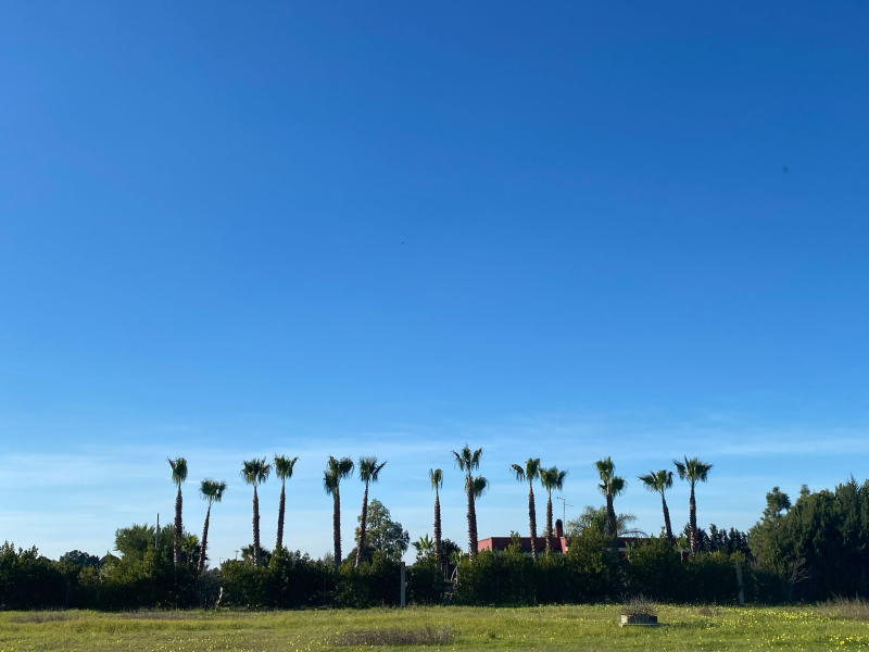 Images Casa della Legna Manutenzione del Verde