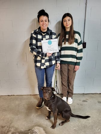 Images KC's Dog Obedience and Training, LLC