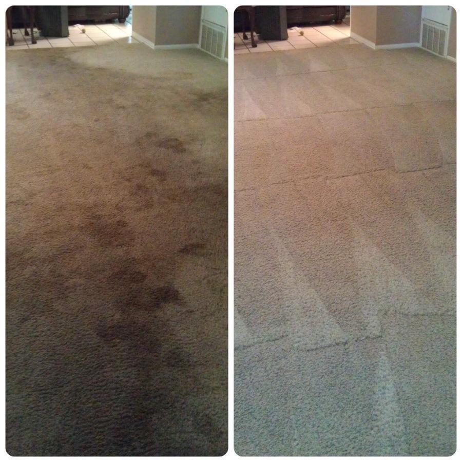 Professional carpet cleaning in Rochester, NY