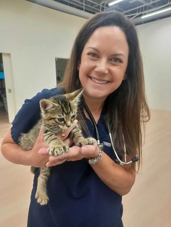 Images Petfolk Veterinary & Urgent Care - East Cobb Marietta