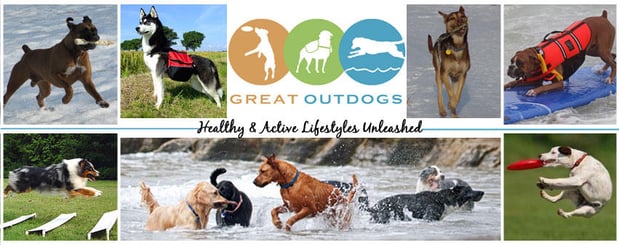 Images Great Outdogs