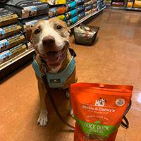 Do you need travel products for your pets? Earth Pets Natural Pet Market  will deliver everything from food and supplements to treats, clothing, bedding and travel gear to keep your animals happy and healthy while on the journey.