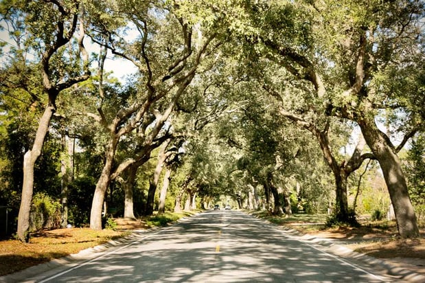 Images Hampton Inn Pensacola-Airport (Cordova Mall Area)
