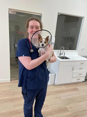 Images Petfolk Veterinary & Urgent Care - Peachtree Corners