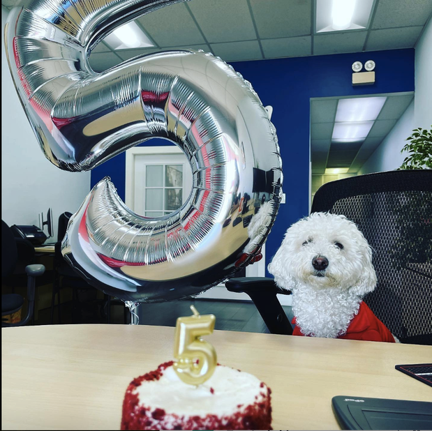 Images Tatiana Vogelaar - State Farm Insurance Agent