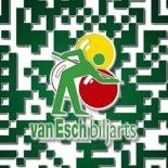 Van Esch Biljarts Logo