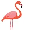 Flamingo Rides LLC Logo