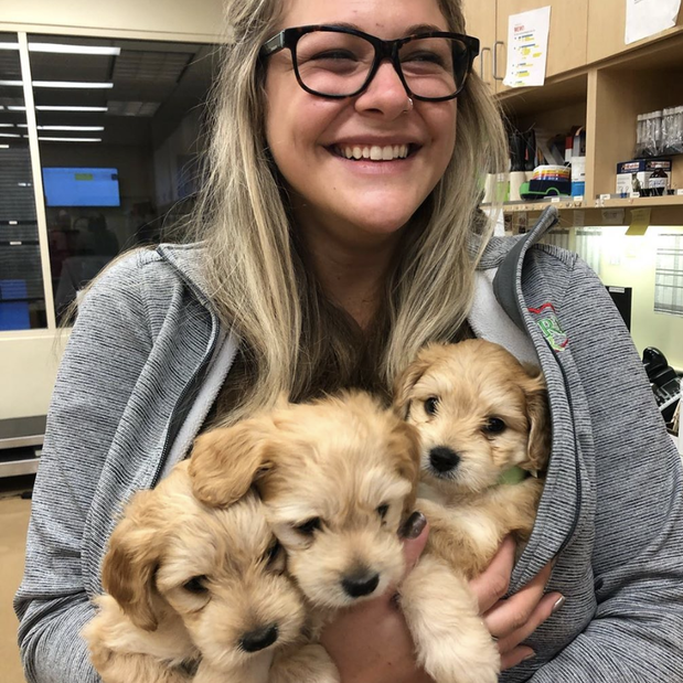 Images Alicia Pet Care Center