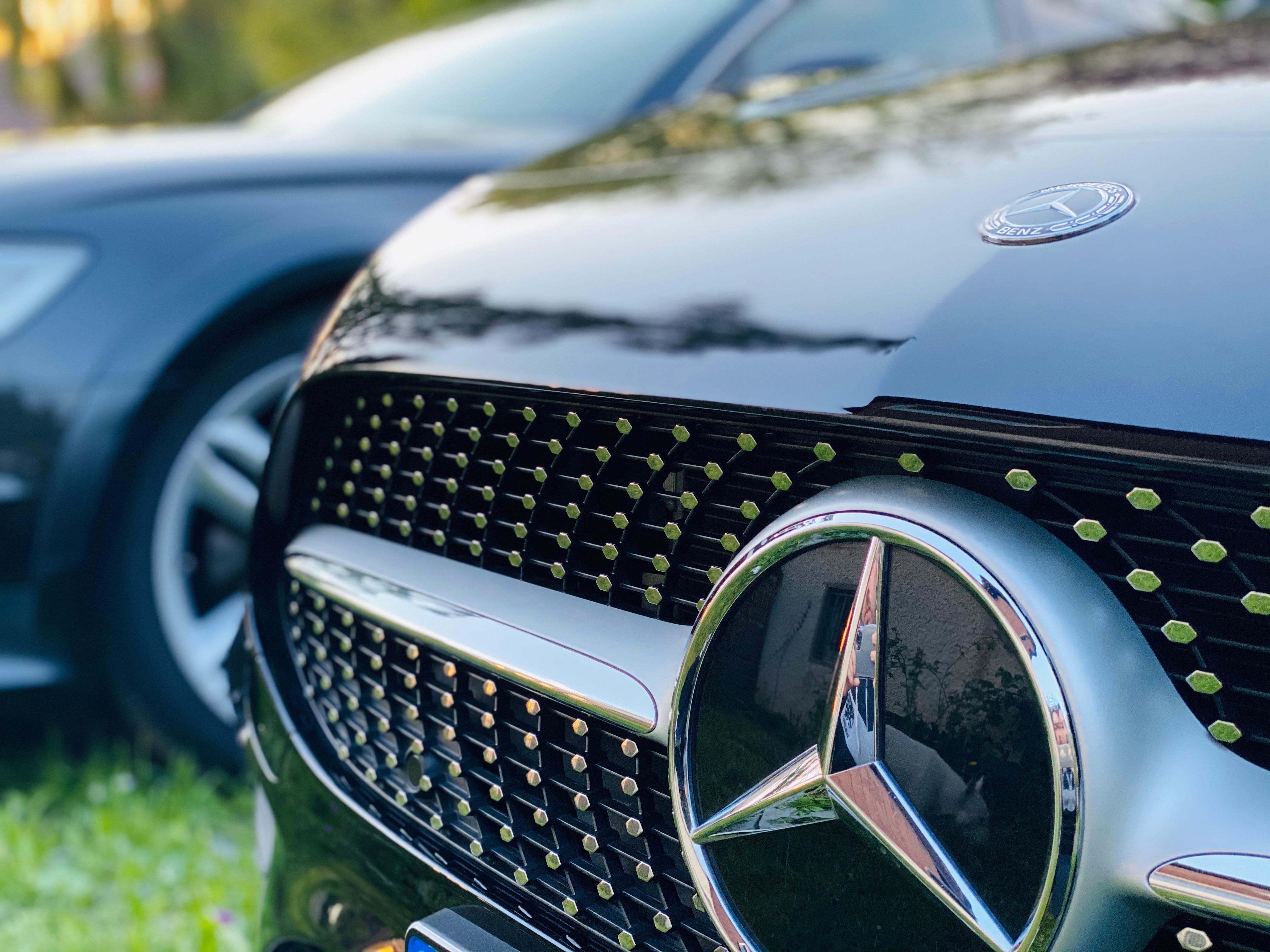 Heilbronnerhunde, Im Haselter 75 in Heilbronn