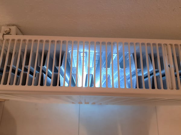 Bilder REINECO