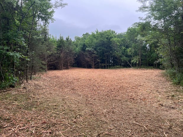 Images RED'S Forestry Mulching