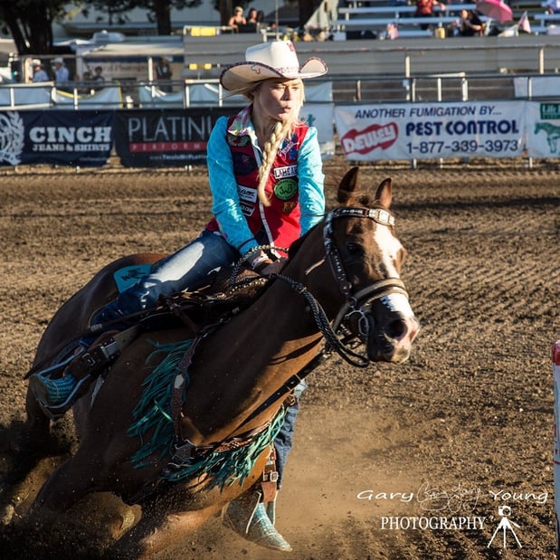 Images Dewey Pest & Termite Control