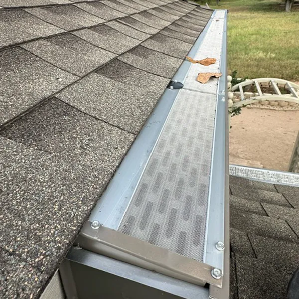 Austin Gutter Protection Image