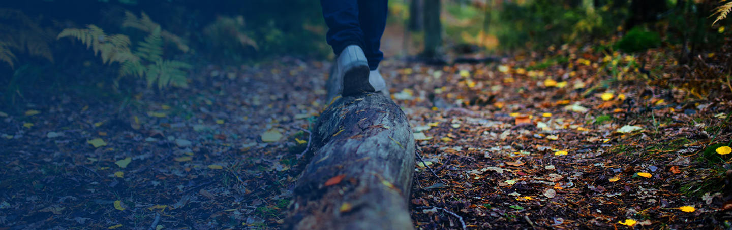Person balancing on a log on a forest trail covered in autumn leaves.