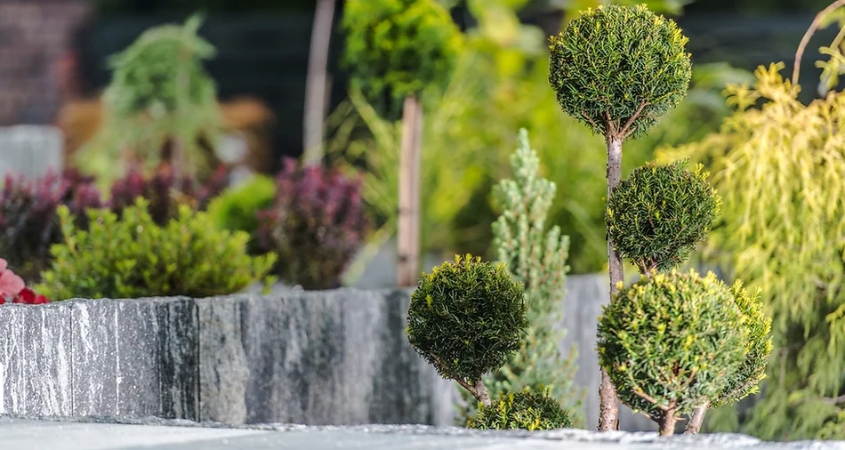 Geo Tiling & Renovations 12