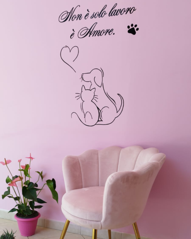 Images Bagnetto E Coccole