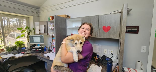 Images VCA Peone Pines Animal Hospital