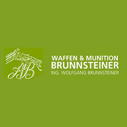 Ing. Wolfgang Brunnsteiner Logo