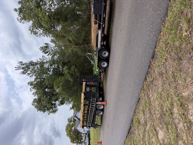 Images Trent's Tree Service The Neighborhood Arborist LLC