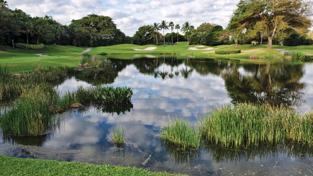 Images Meravita at Boca Raton