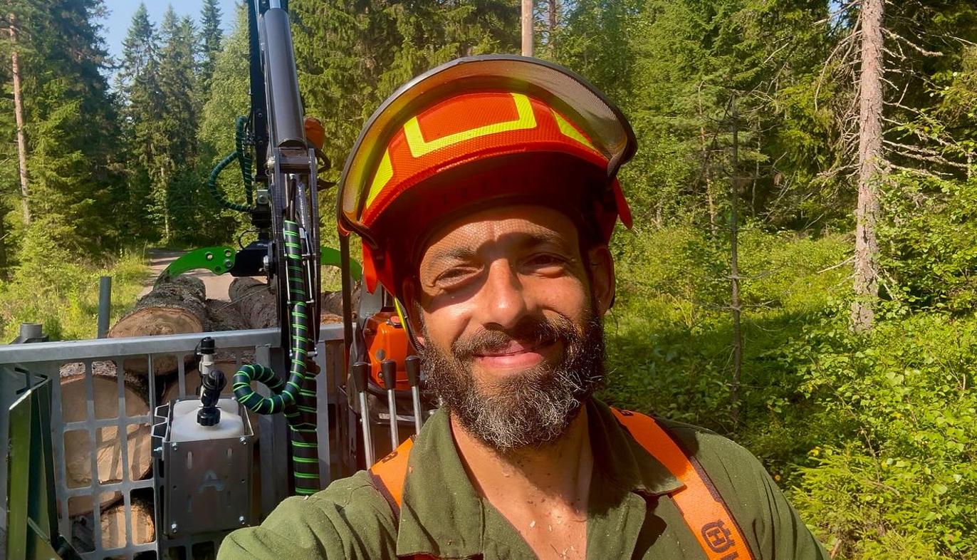 Images Umeå Trädservice