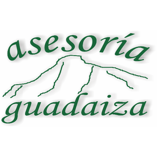 Asesoria Guadaiza Logo