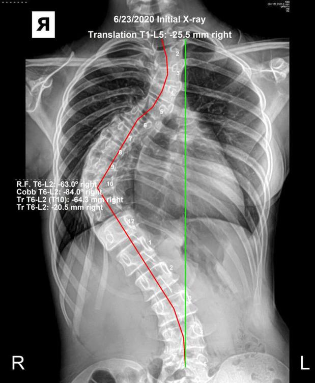 Images Abundant You Chiropractic & Wellness