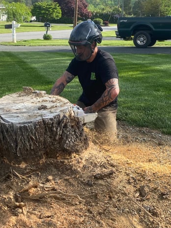 Images Fine Cut & Trim